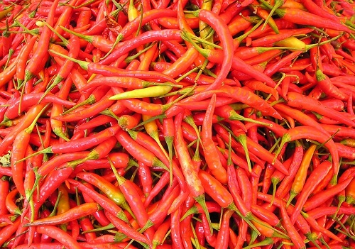 Spicing Up Global Markets: Indian Red Chilli Exports Soar to Record $1.5 Billion in FY24 by Amit Gupta, Kedia Advisory